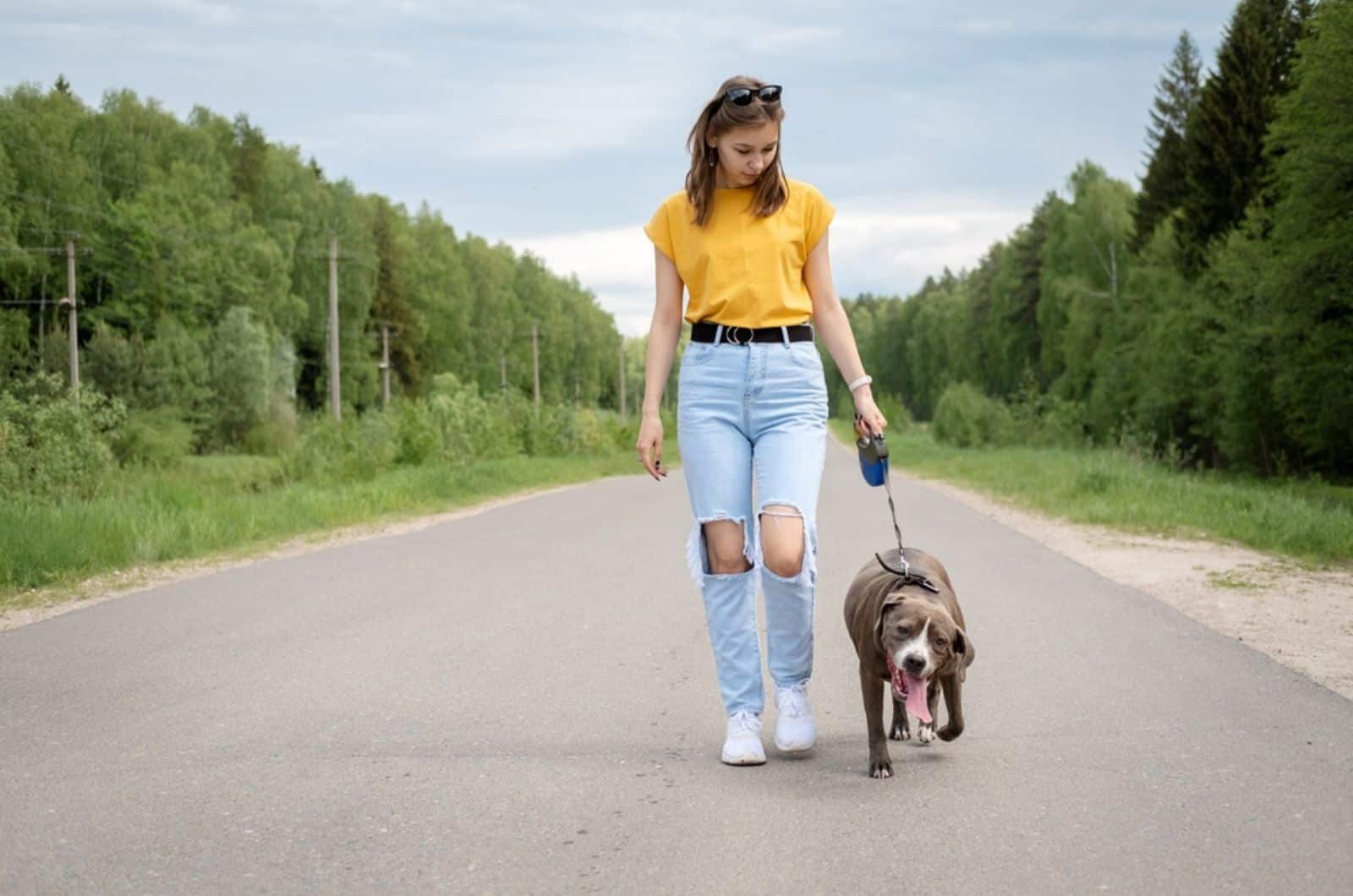 woman walk an american pitbull terrier dog on the road