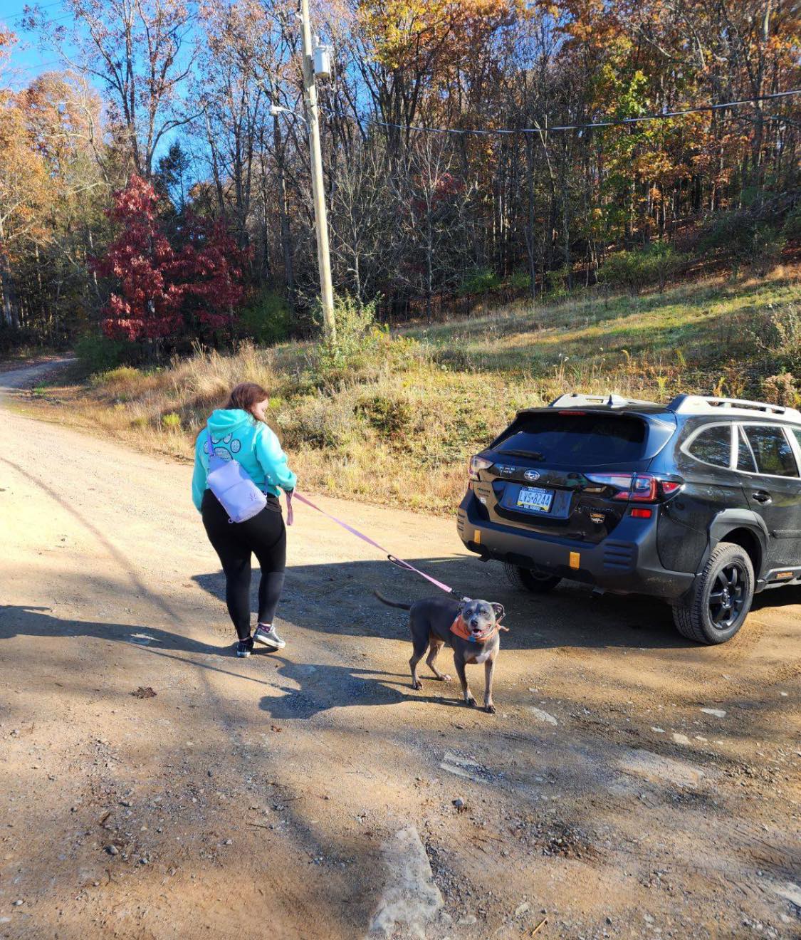 Woman walking a dog