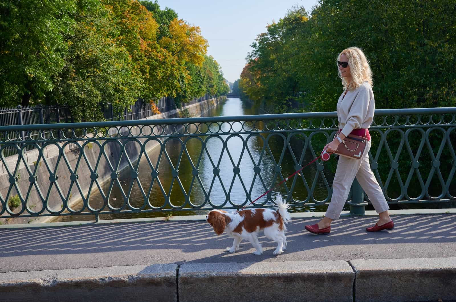 woman walking Cavalier King Charles