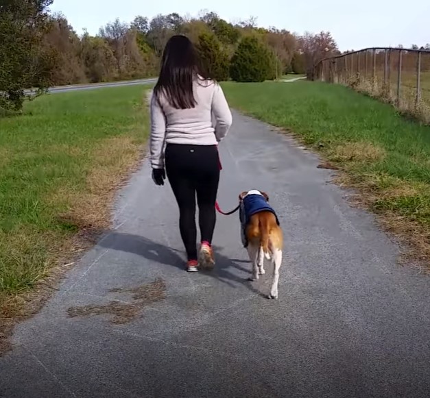 woman walking the dog