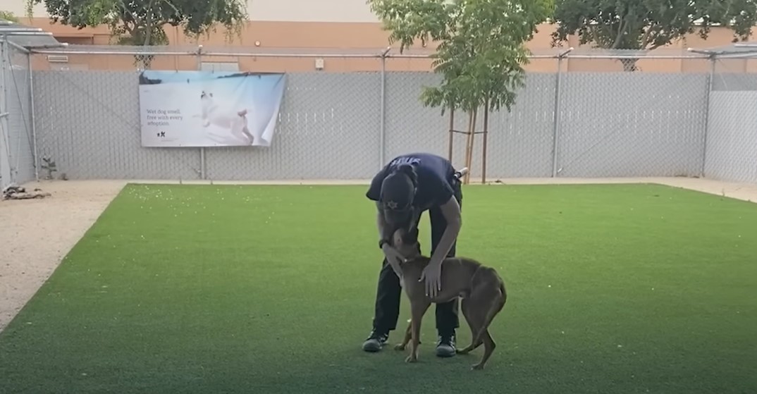 woman with cap carresing dog