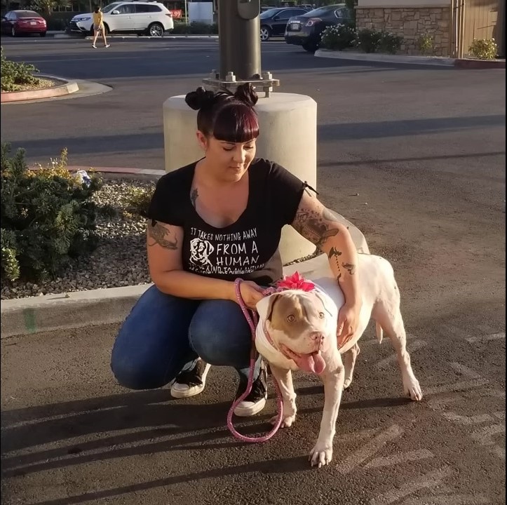 woman with dog in a sunlight