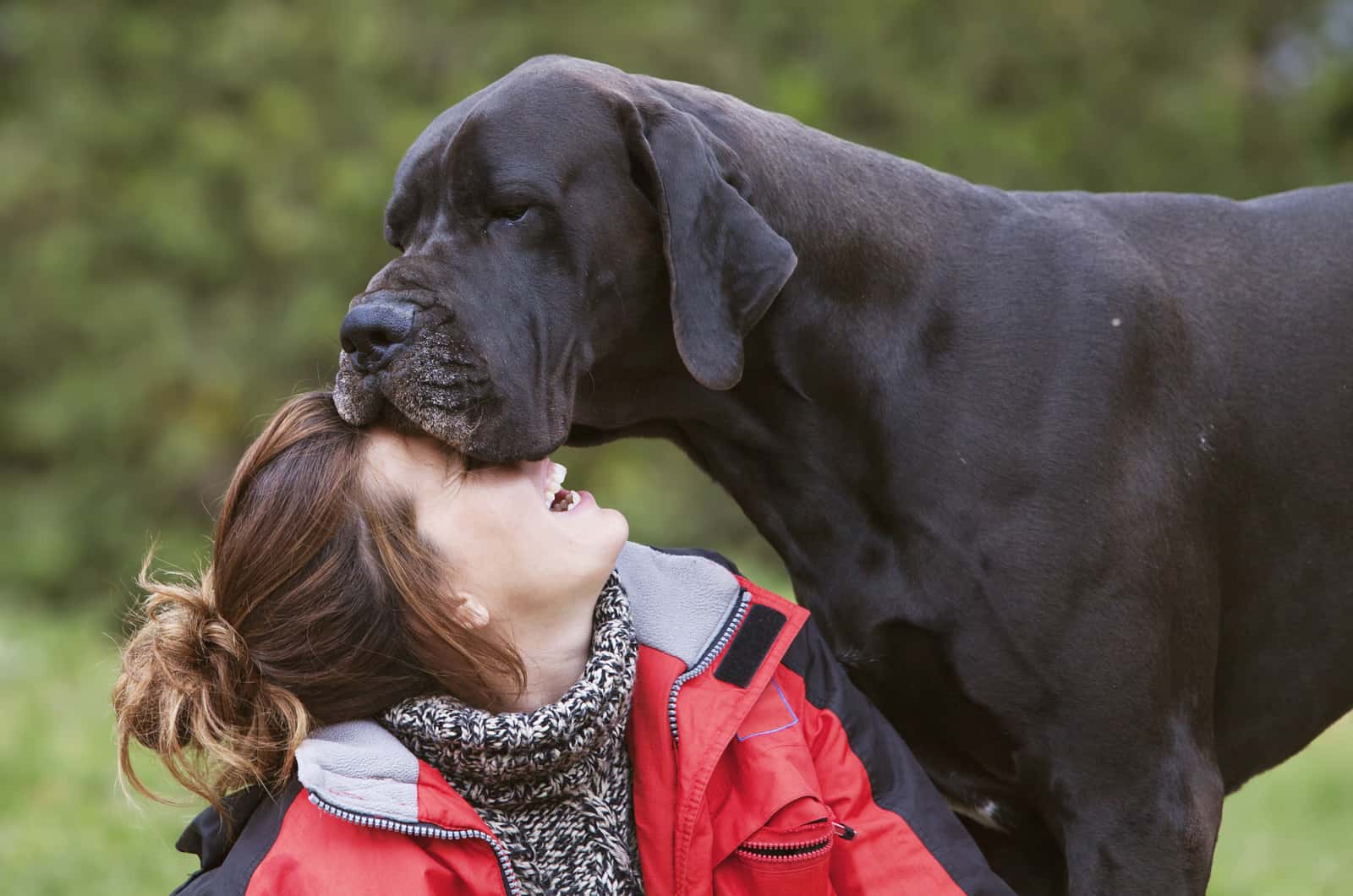 woman with great dane