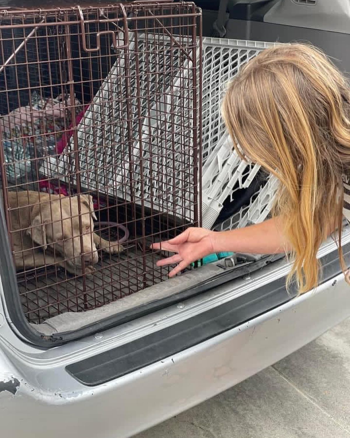 woman with pitbull in cage