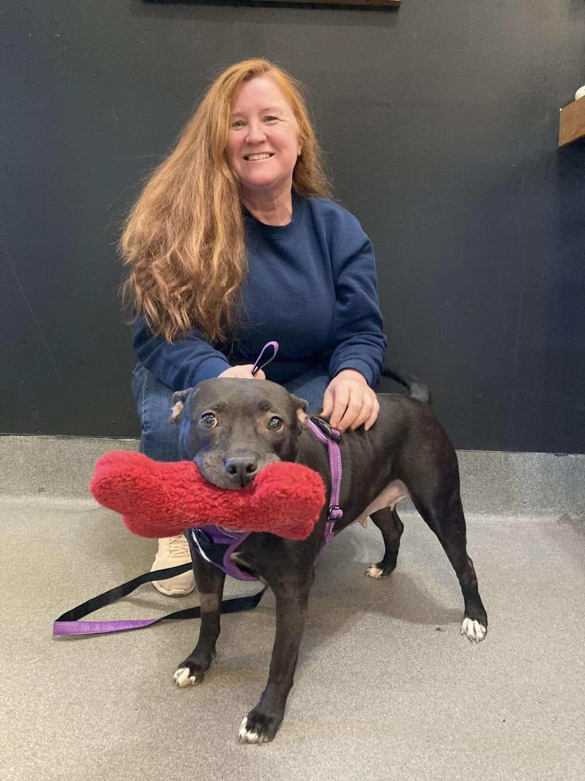 woman with pitbull