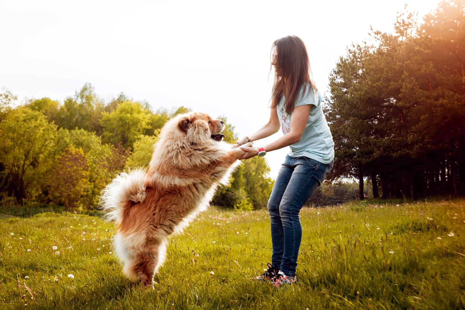 woman with the dog in the park