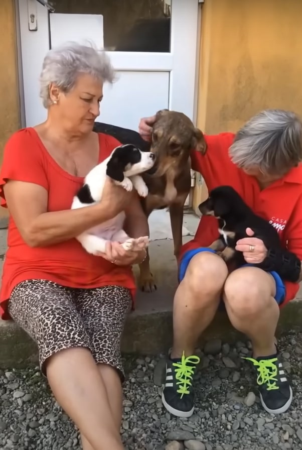 women with dog and her babies