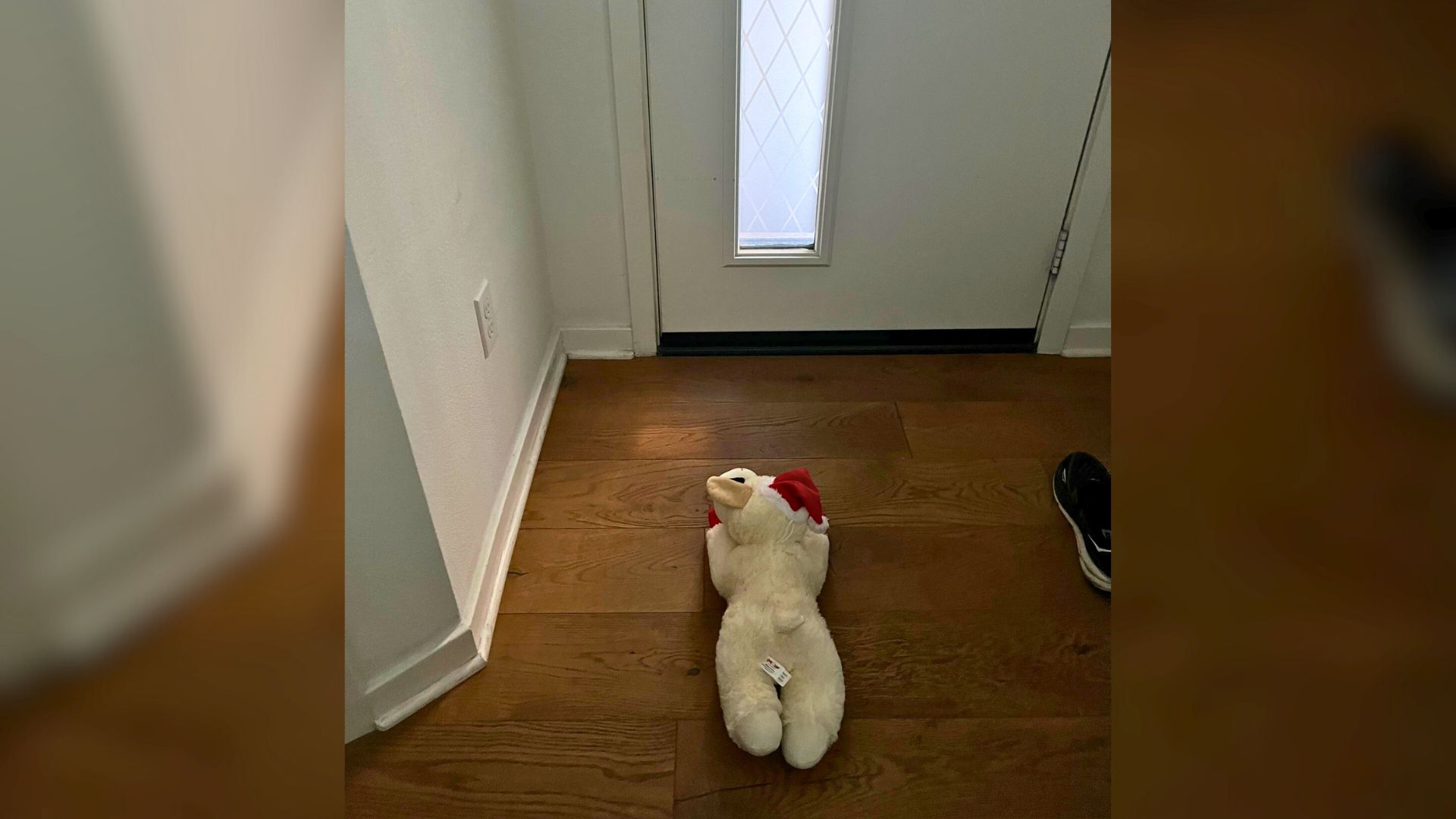 The Reason Behind This Husky Leaving His Favorite Toy By The Door Will Melt Your Heart