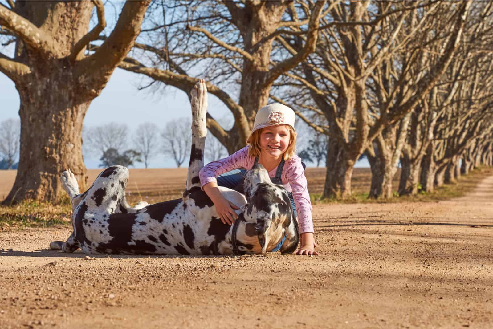 Young girl playing with her dog great dane