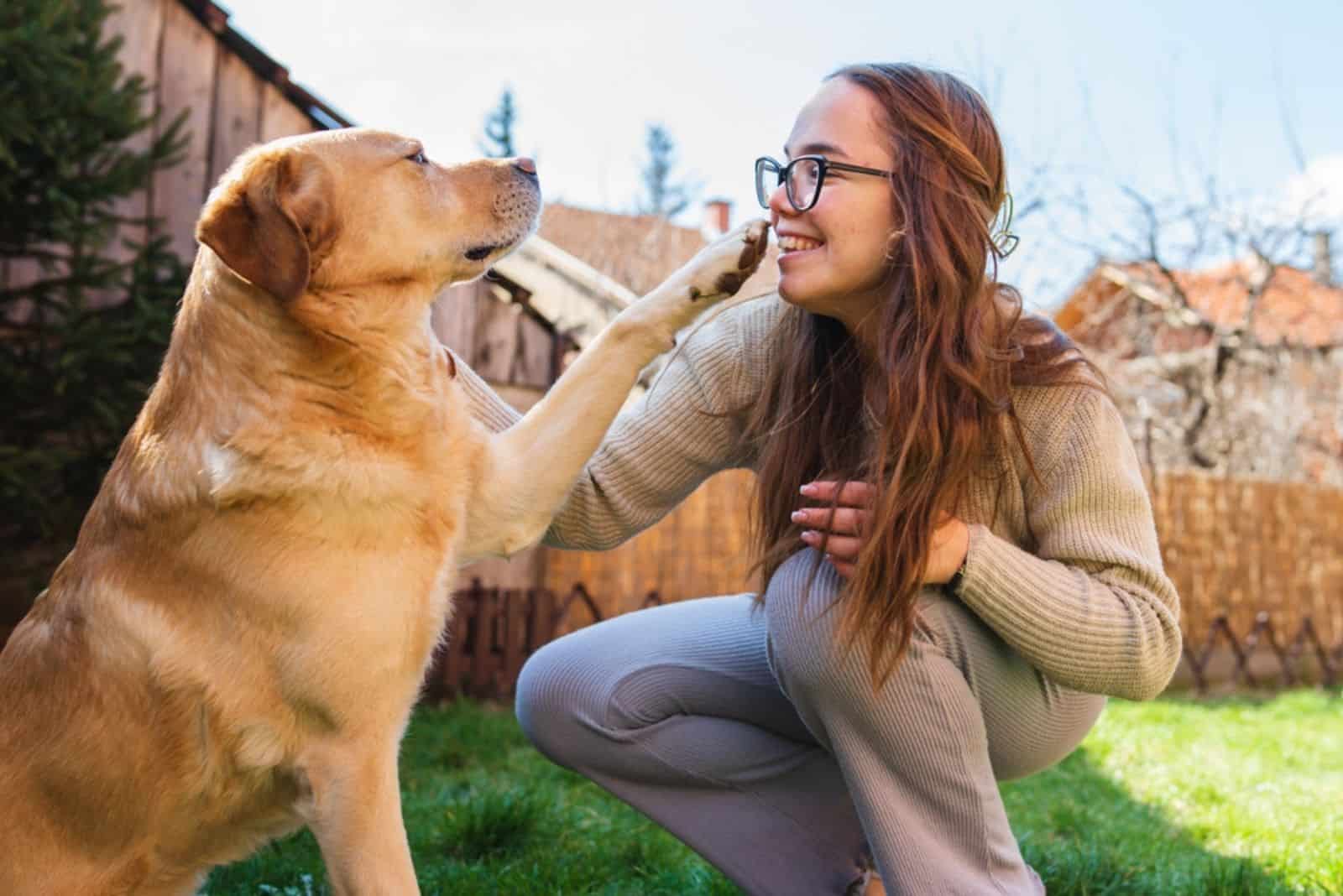 young girl playing with labrador dog in backyard