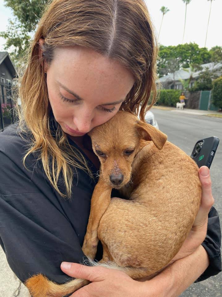 young woman holding a foster puppy