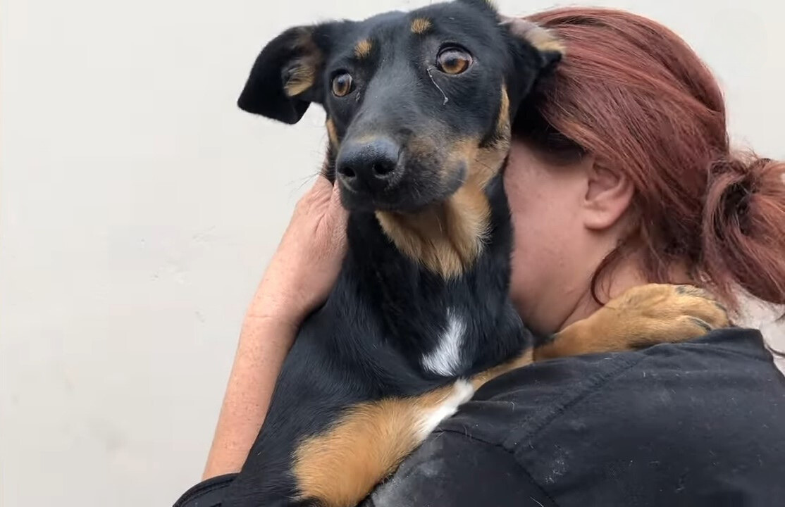 young woman hugging shaking dog