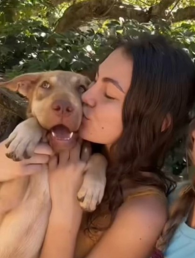 young woman kissing dog