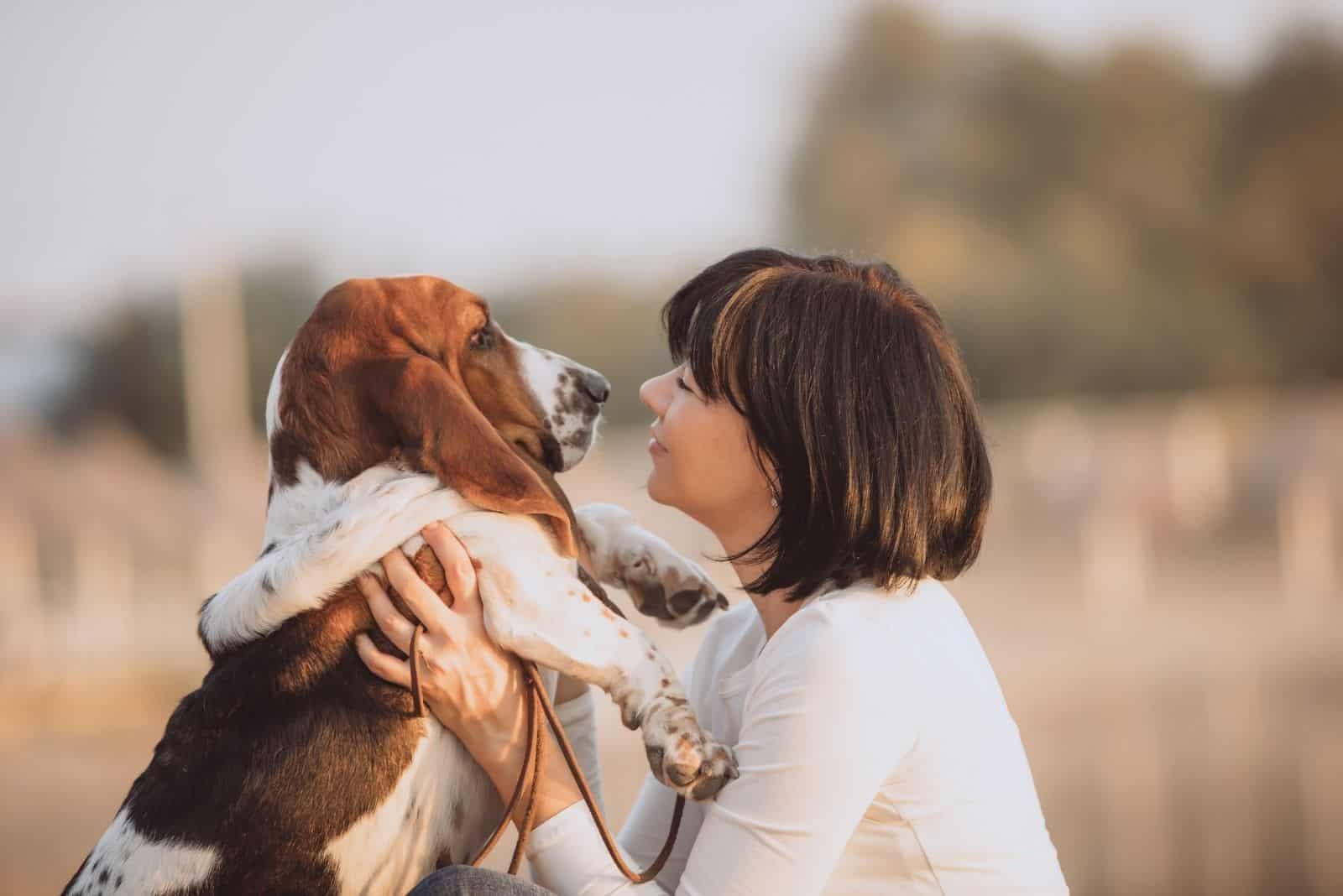 young woman playing with a hound basset outdoors