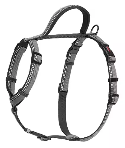 HALTI Premium Walking Harness