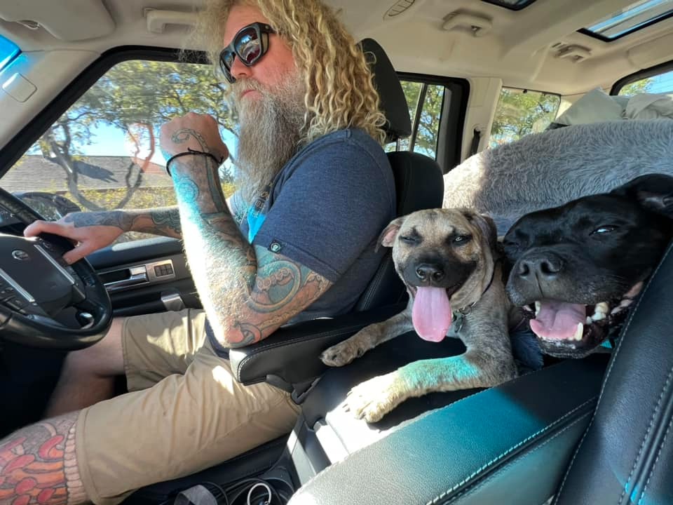 a man driving in the car with two dogs