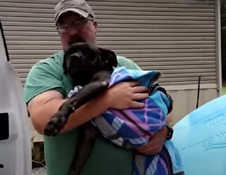 a man saved a stray dog and holds it in his arms