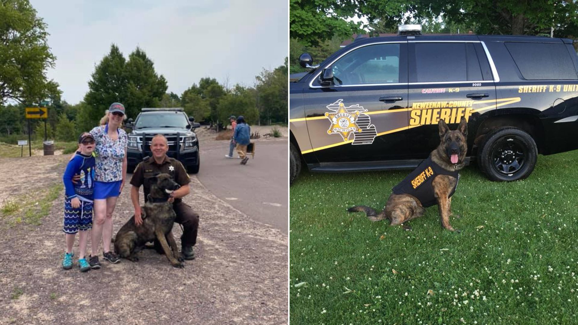 A Police Dog Uses His Skills To Find A Lost Engagement Ring At The Beach 