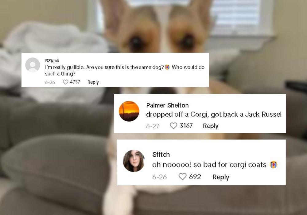 comments on tiktok