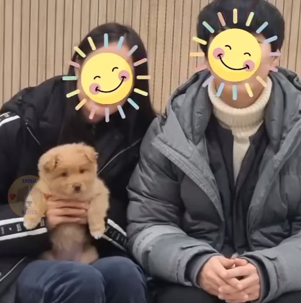 couple and adorable dog