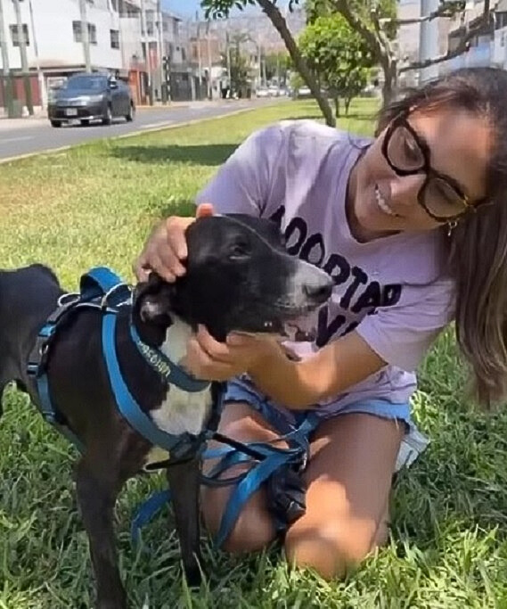 cute woman and black dog