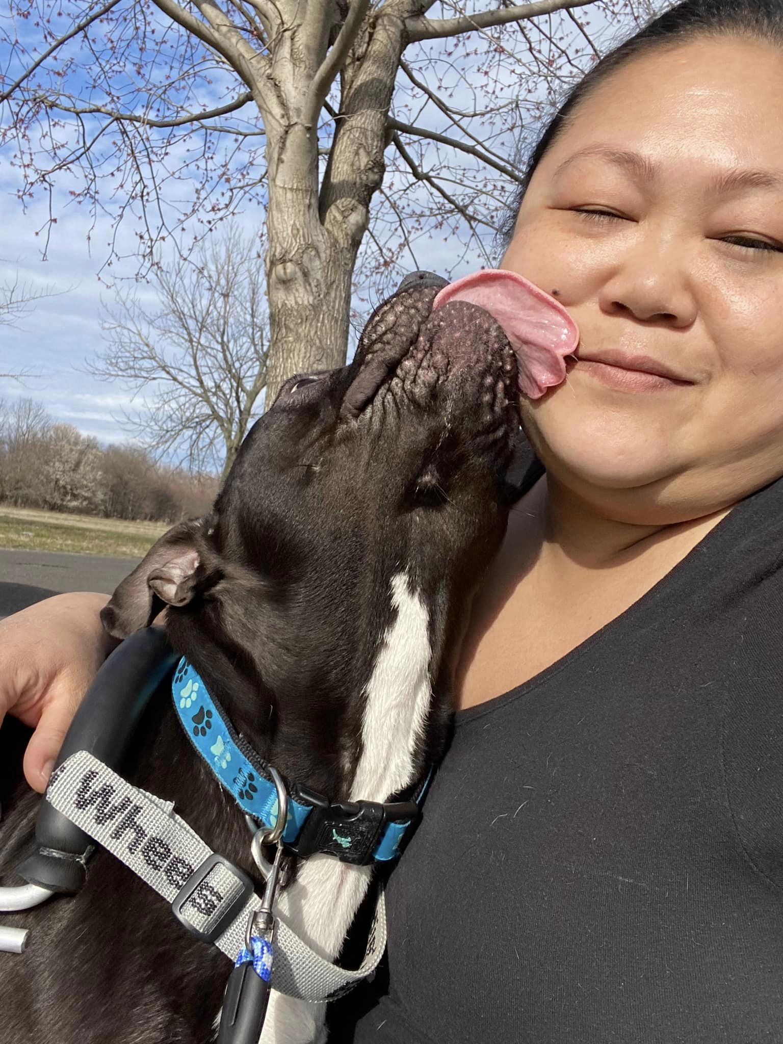 dog licking woman's face