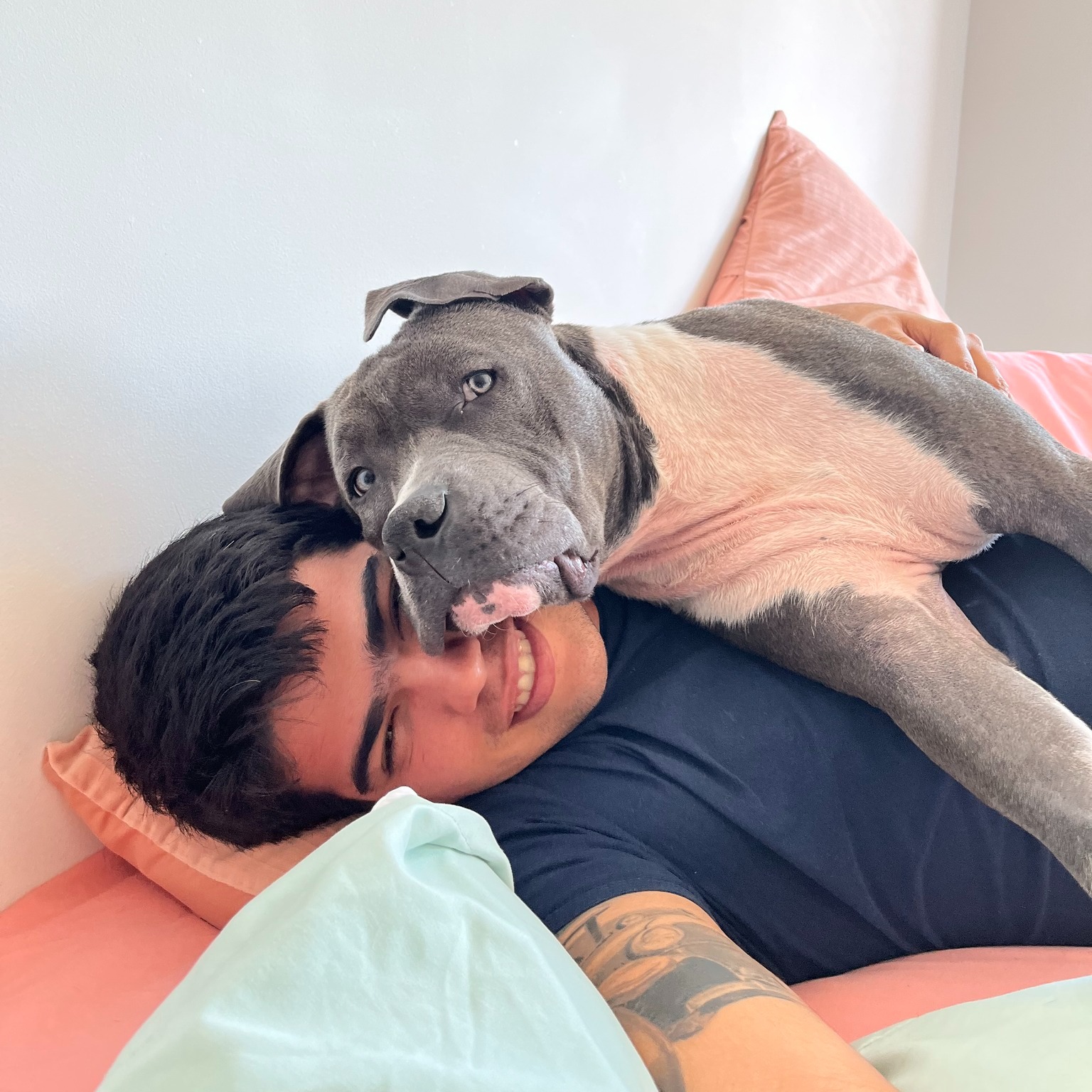 dog lying on man