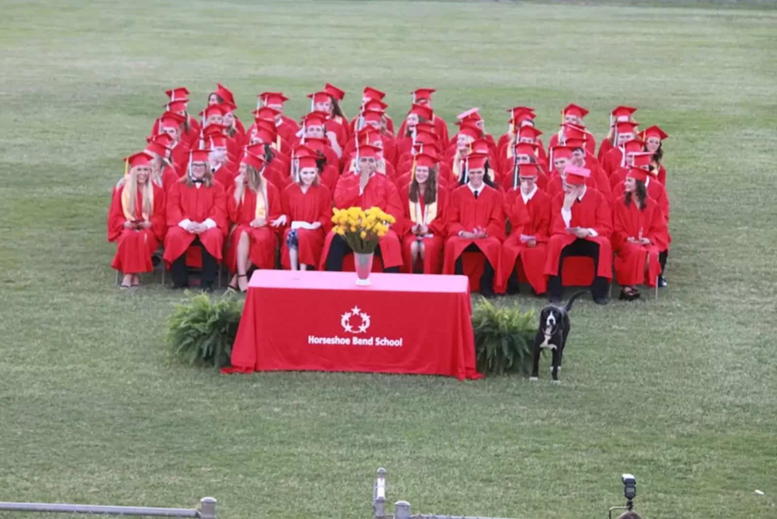 Dog sitting in front of graduation students