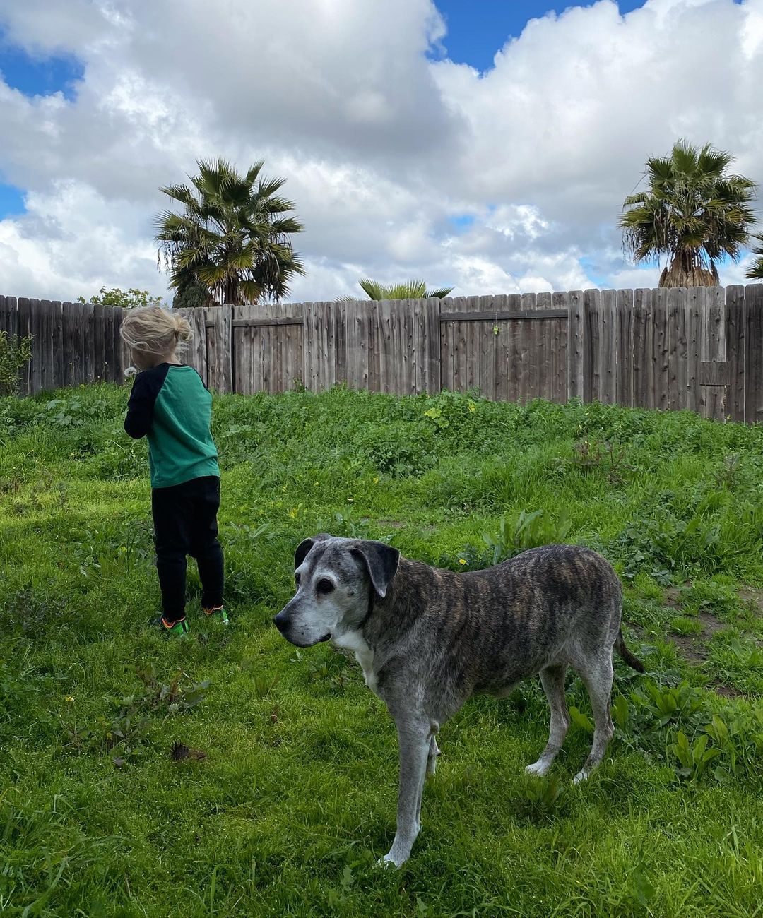 dog with little girl in yard