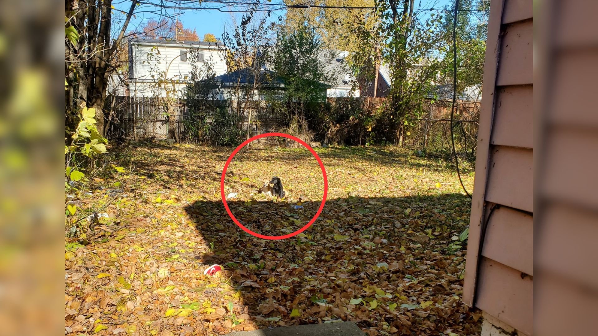 Man Working Next To Abandoned House Notices Someone Strange Staring At Him