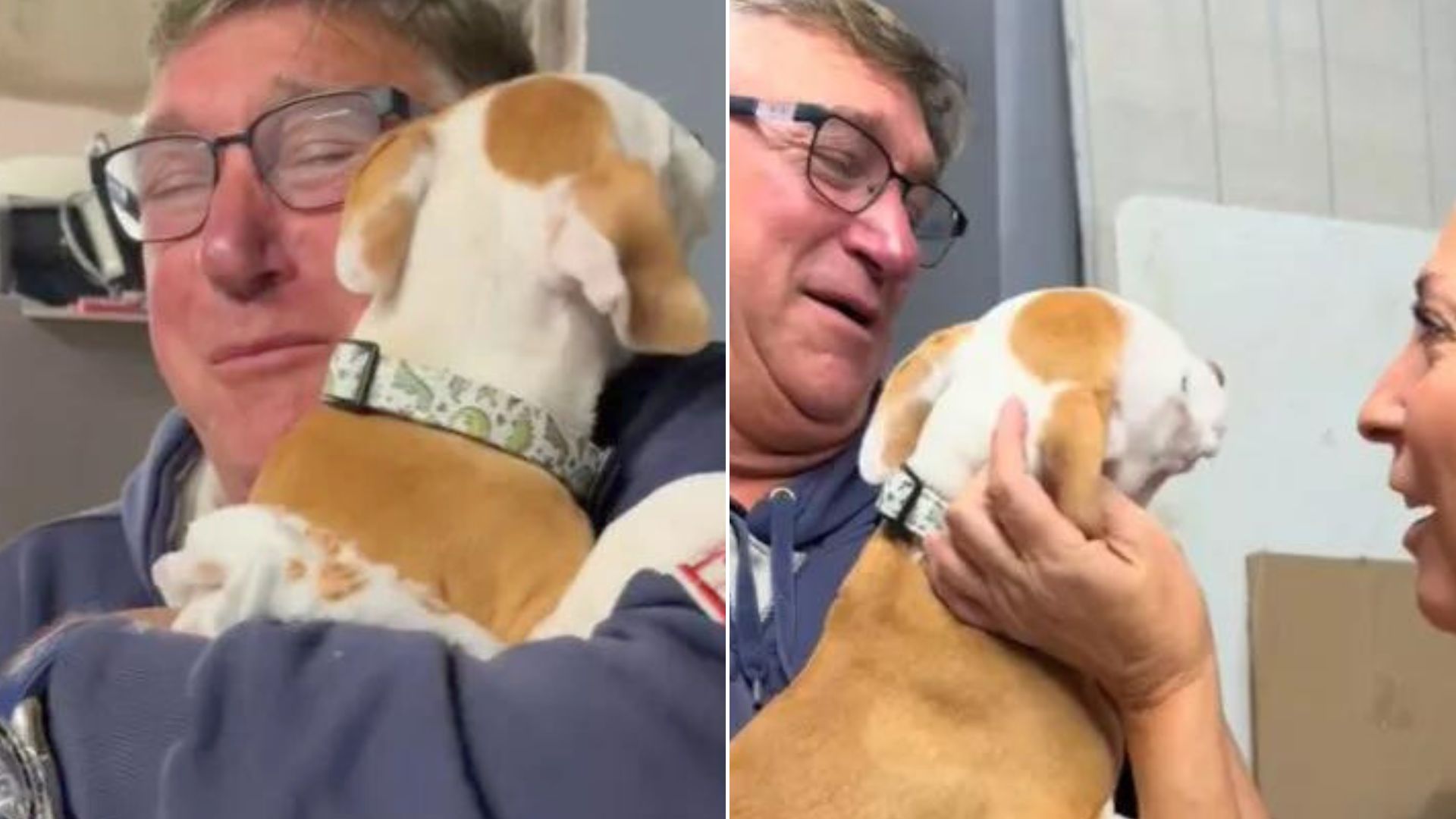 Family’s Precious Reaction When Meeting The New Puppy After Their Senior Dog Passed Away