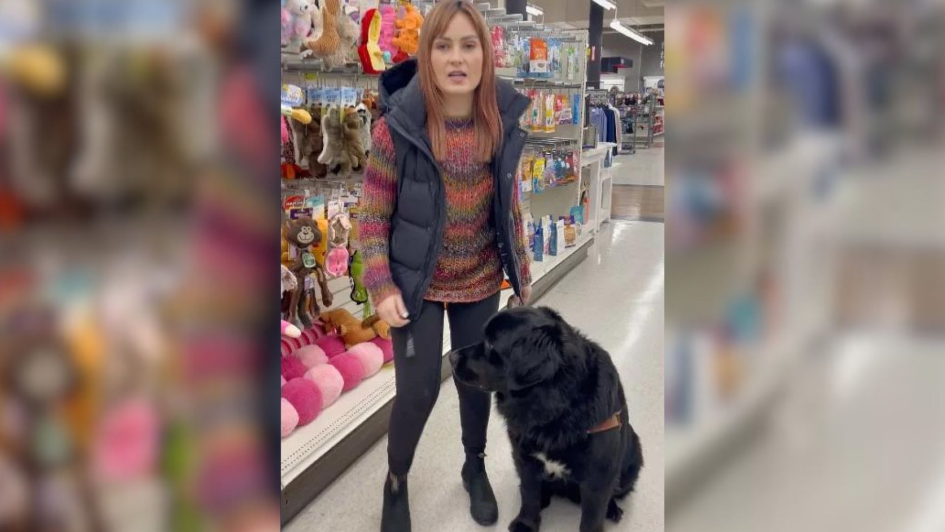 Guide Dog Leads Woman Somewhere She Didn’t Expect At All