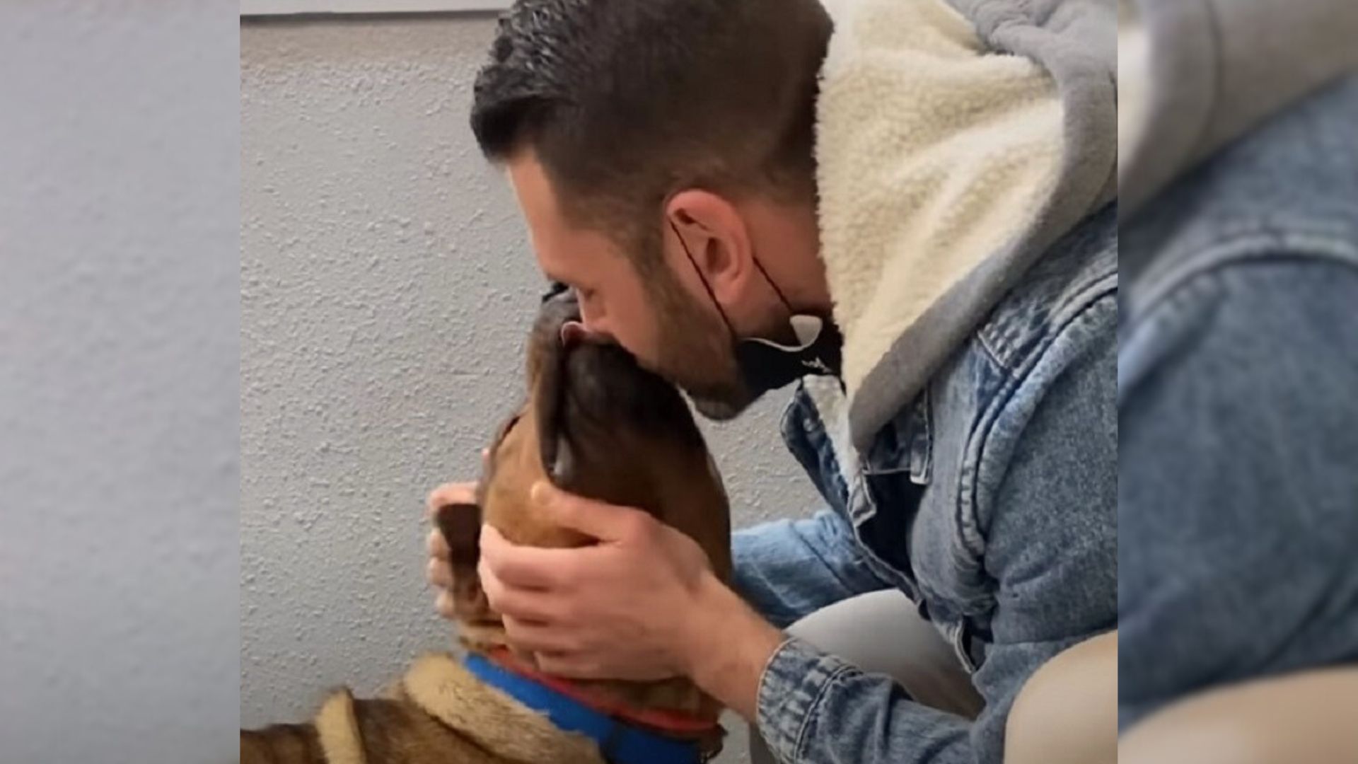 Dog Dumped At Shelter Due To His Bad Behavior Finds A Forever Home In Oregon