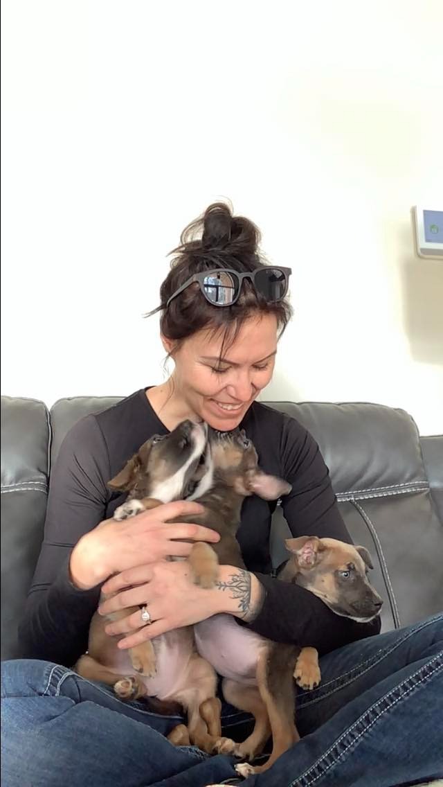 happy dog licking woman on the couch