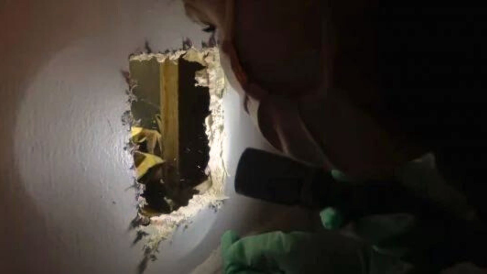 Homeowner Heard A Noise Coming From A Wall And Was Shocked To Learn What Was Causing It