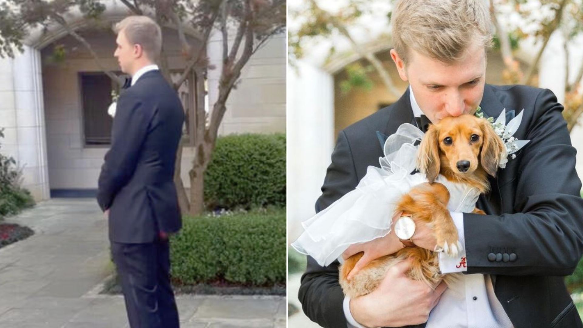 Groom Expects To See The Bride, Only To Be Blown Away By The Cutest Surprise