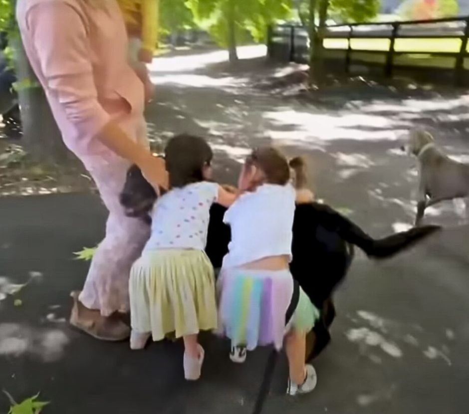 kids hugging dog