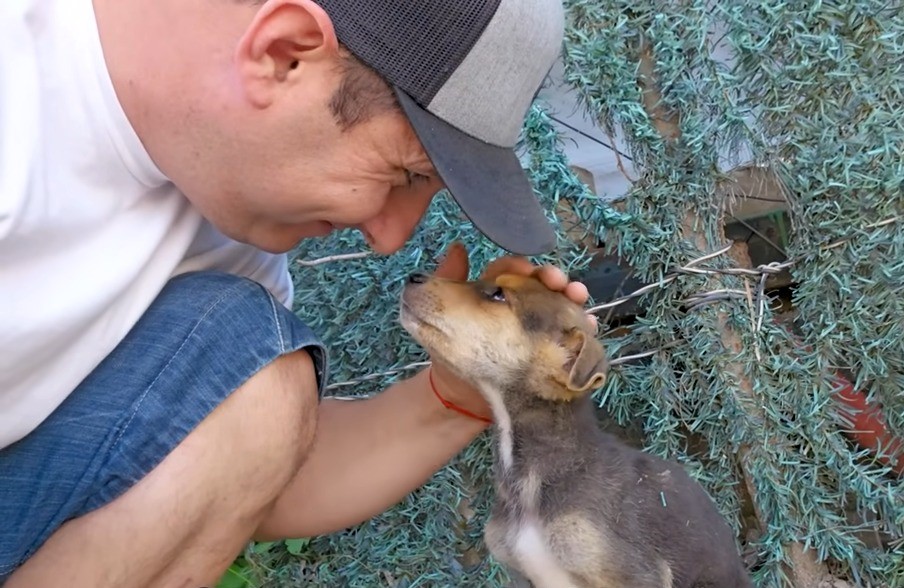 kind man found abandoned dog