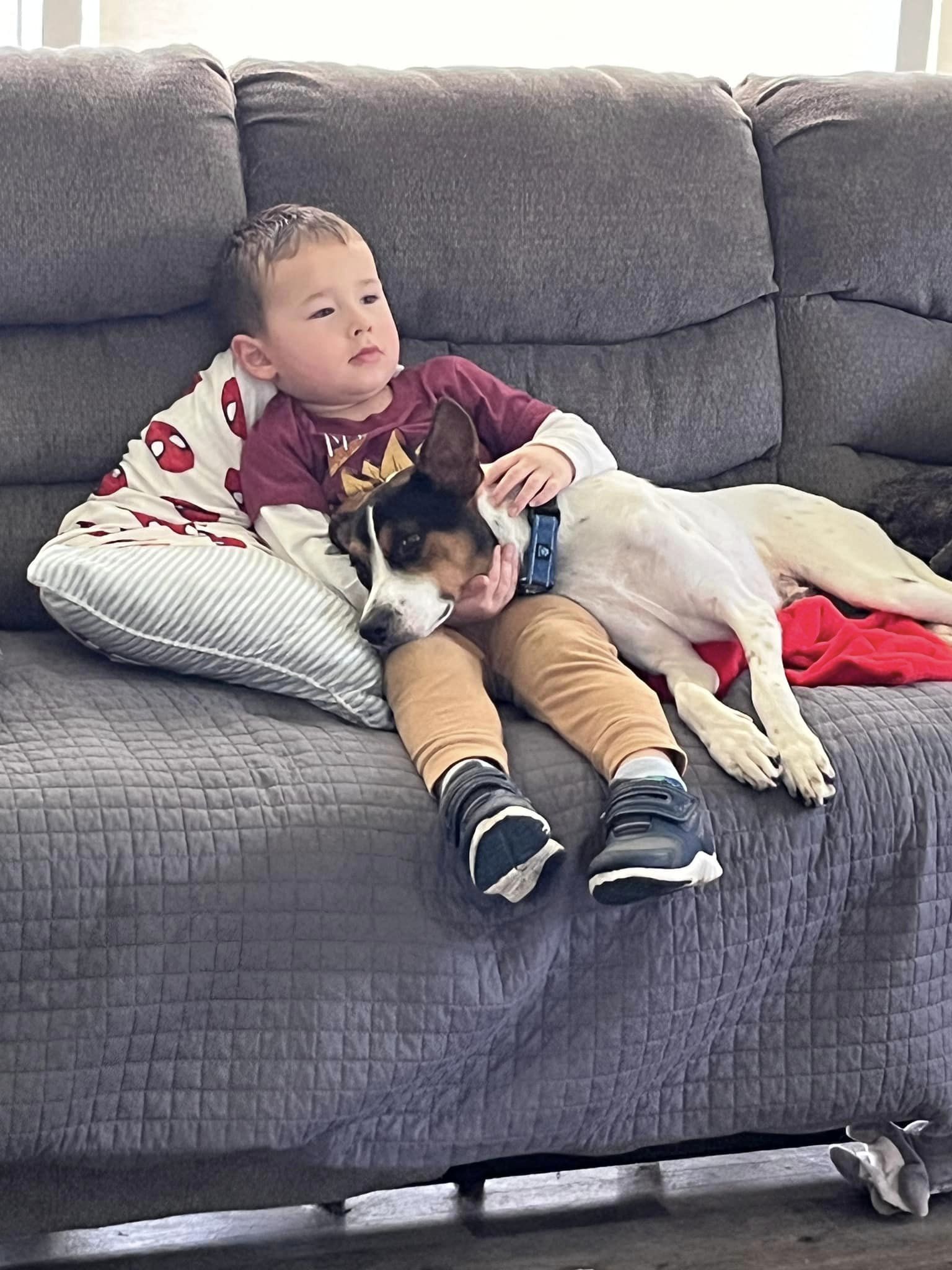 little boy cuddling with dog