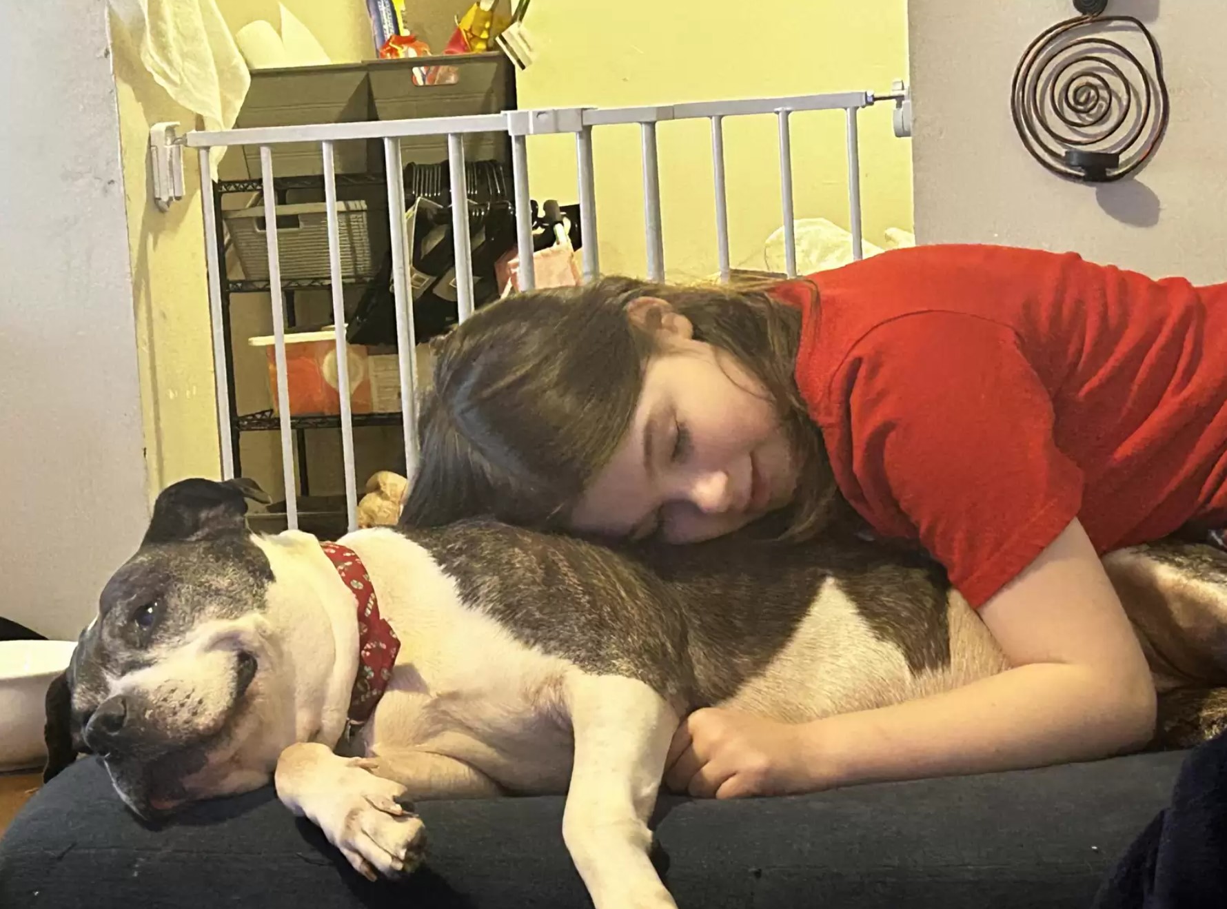 little girl cuddling with dog