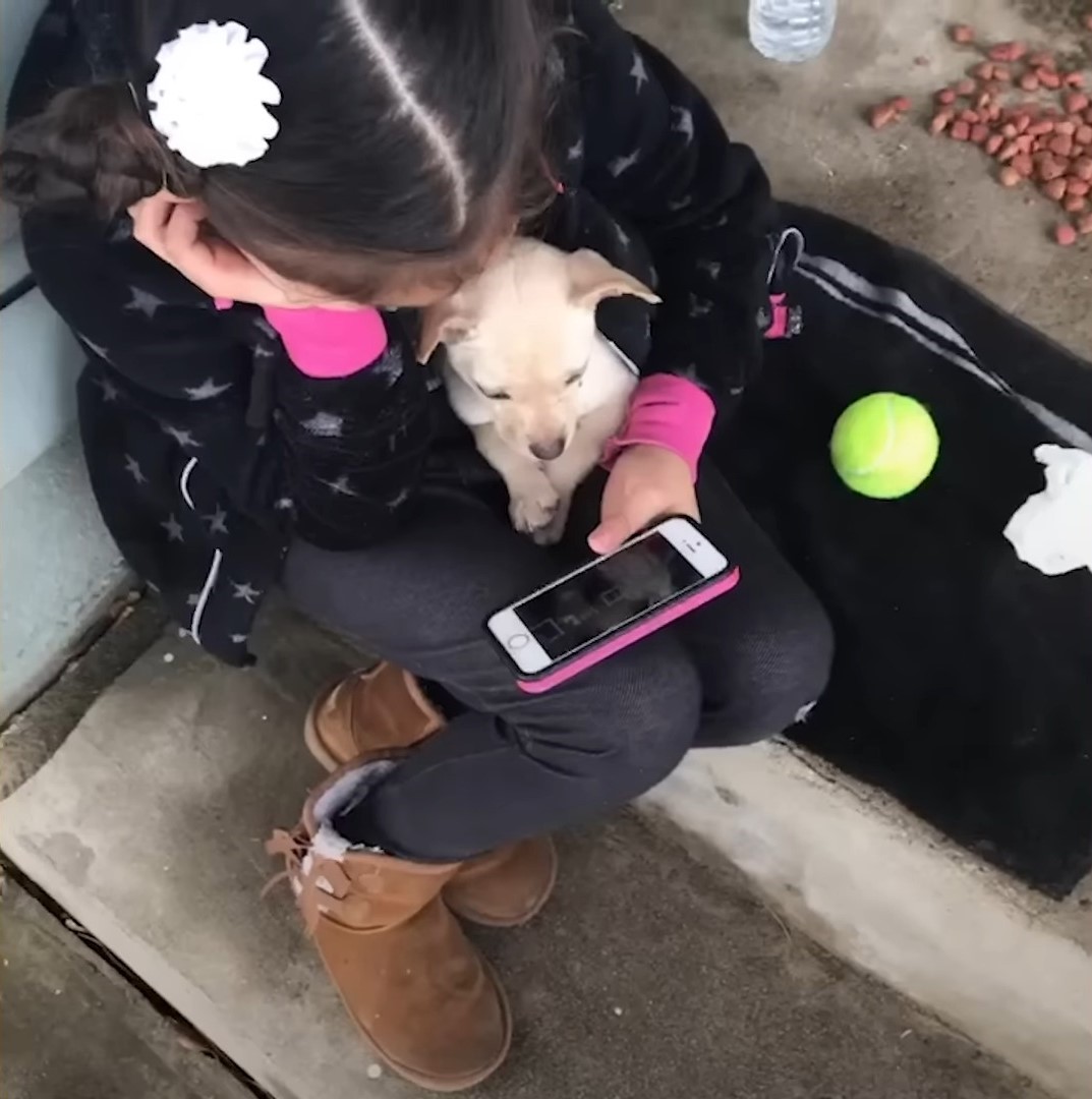 little girl holding puppy while watching mobile phone