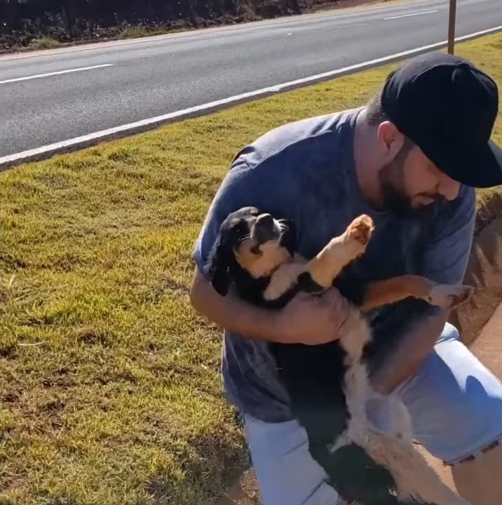 man carrying the injured dog