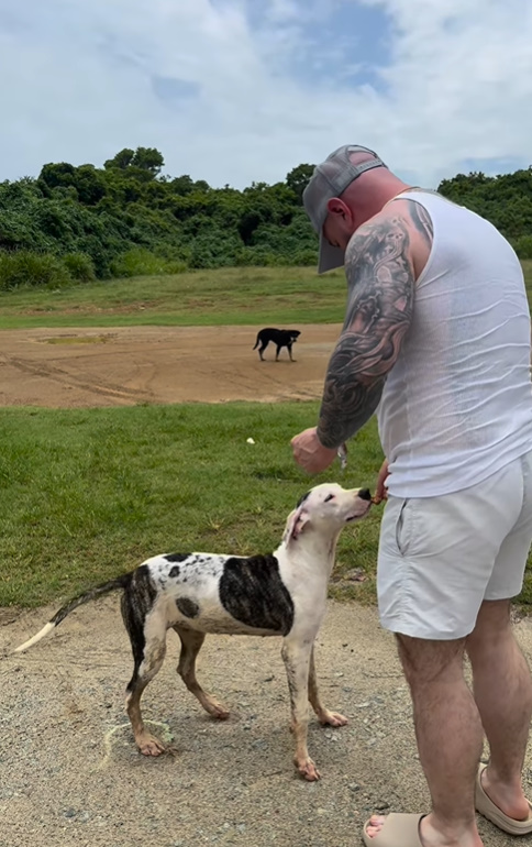 man feeding the dog