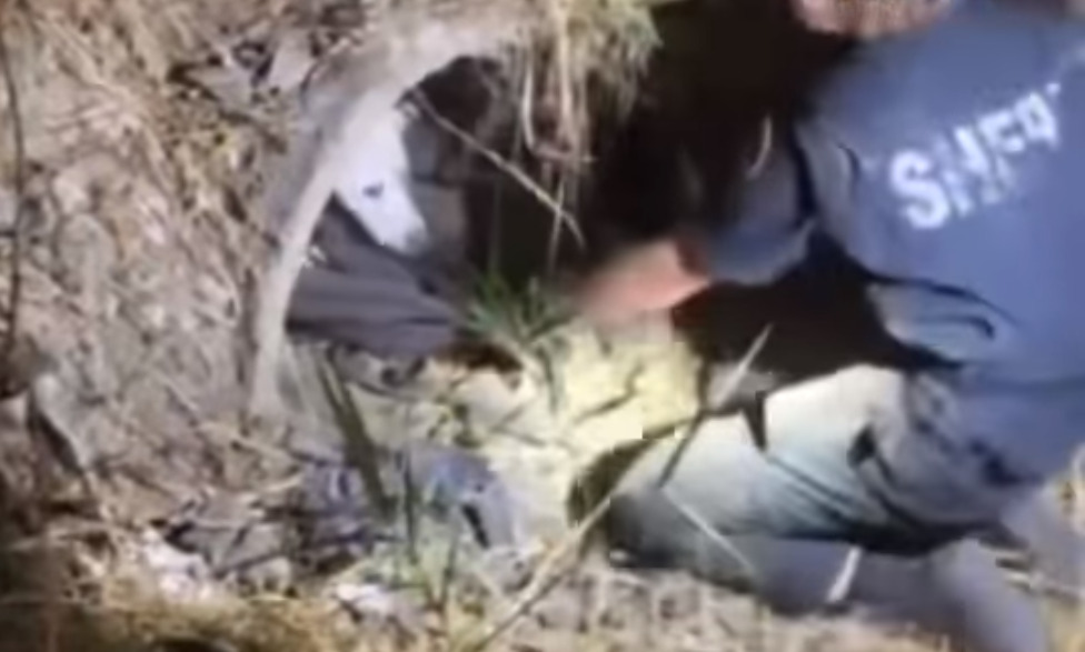 man helping dog in a concrete pipe