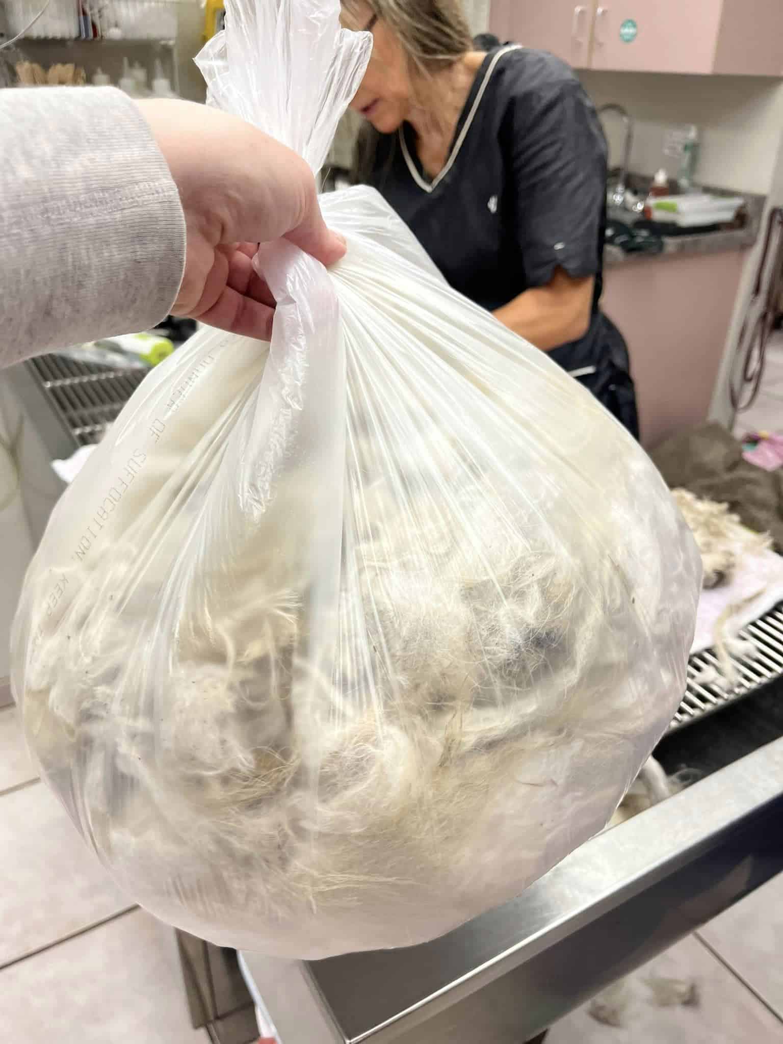 Man holding dogs fur in a bag