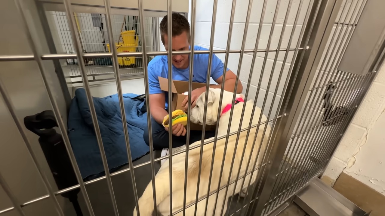 man making blind deaf dog happy