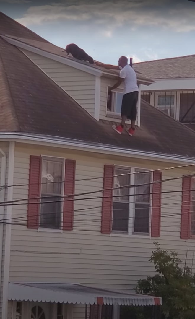 man on the roof with dog standing