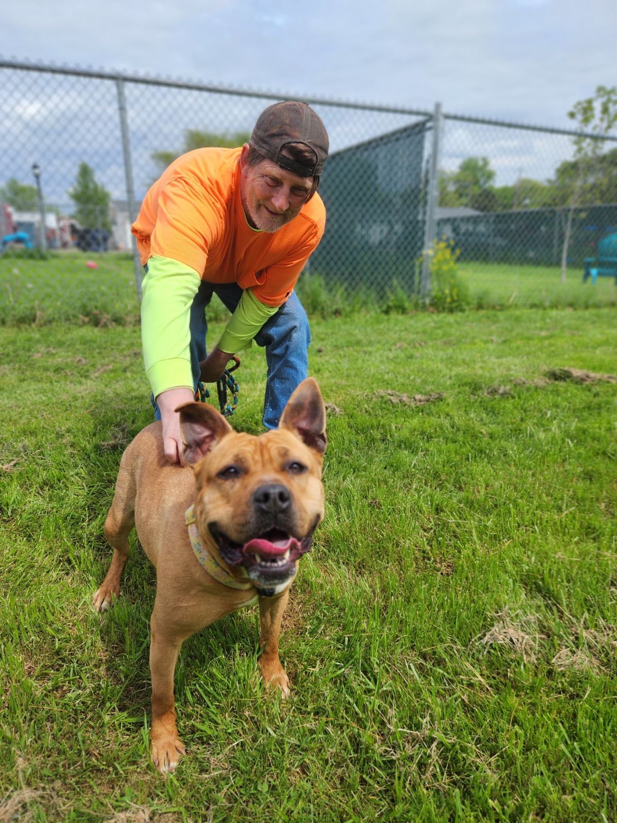 man petting a dog