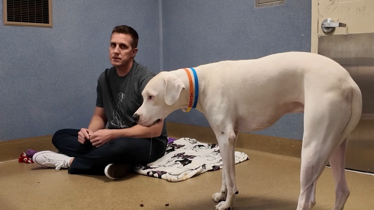 man sitting next to a dog