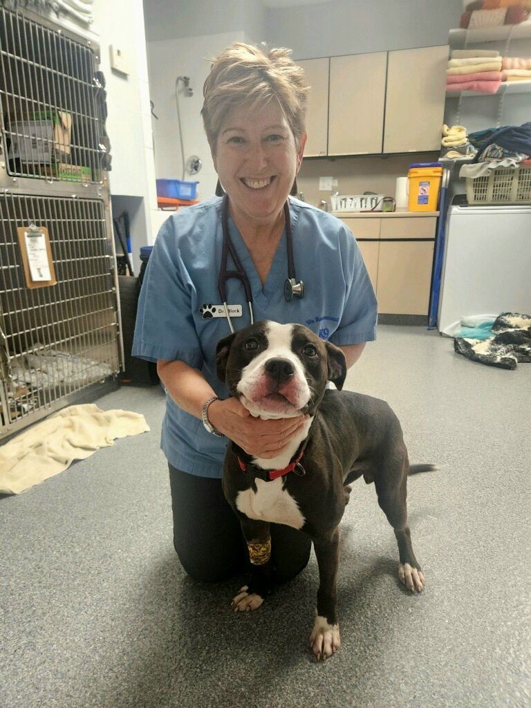 nurse and kobe the dog